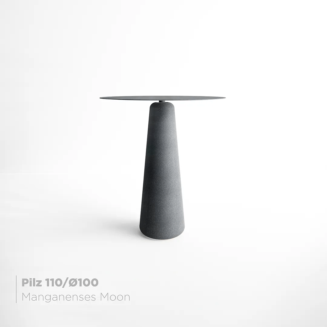 Mesa Pilz 110 -
