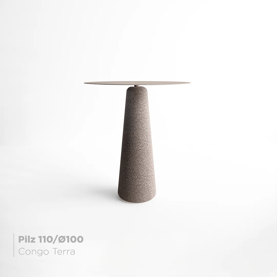 Mesa Pilz 110 -