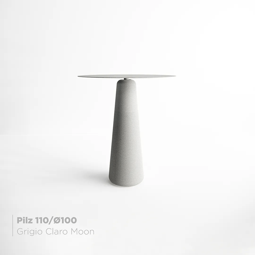 Mesa Pilz 110 -