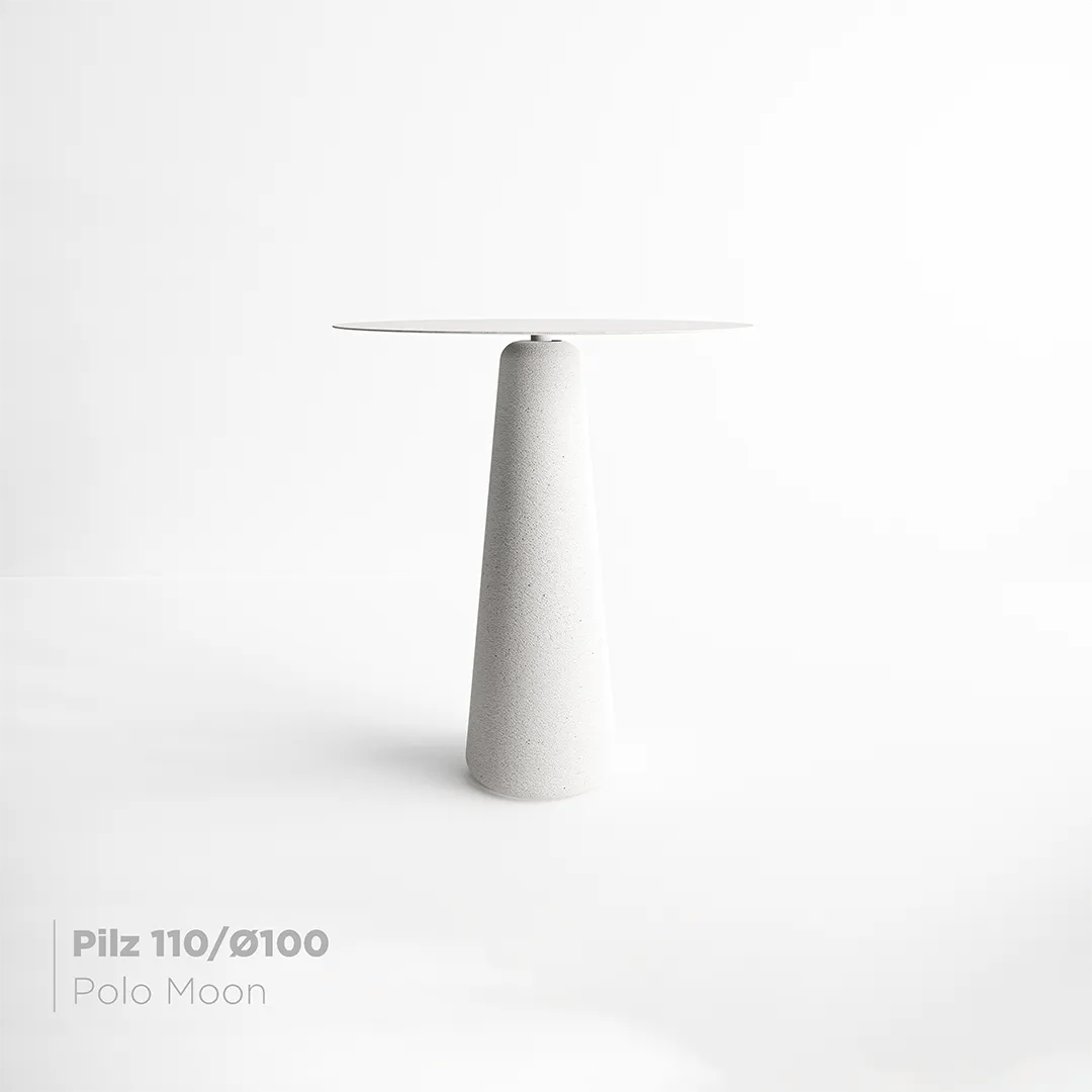 Mesa Pilz 110 -